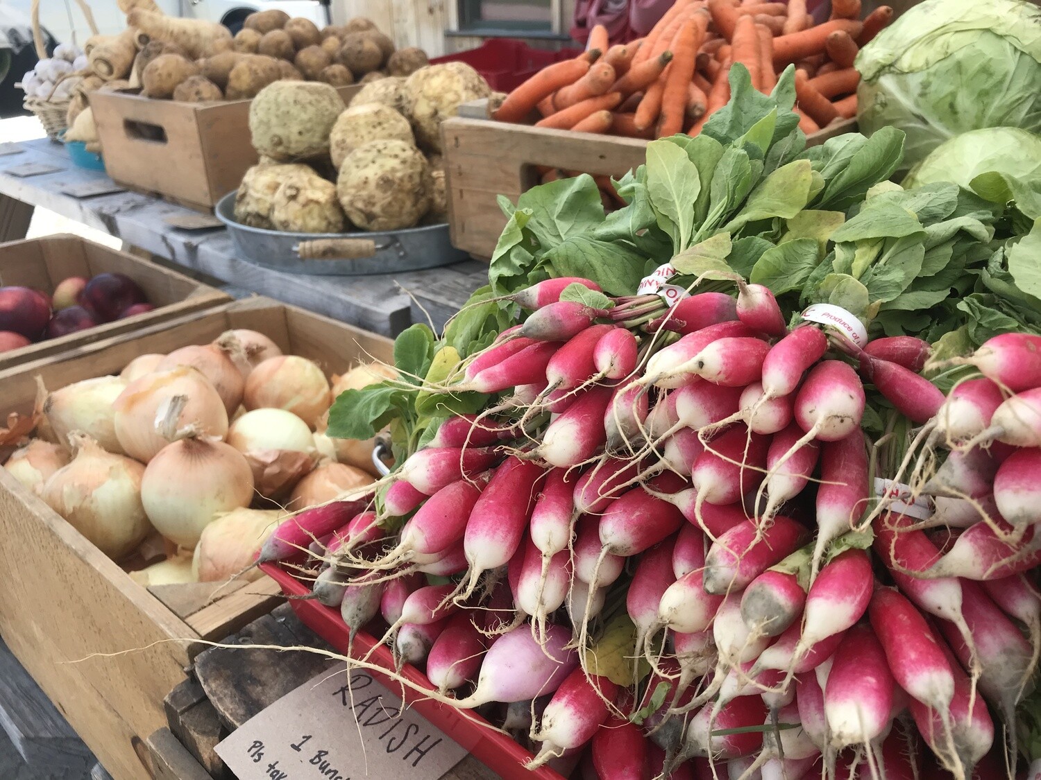 Veggie CSA -  Small - Winter 2025