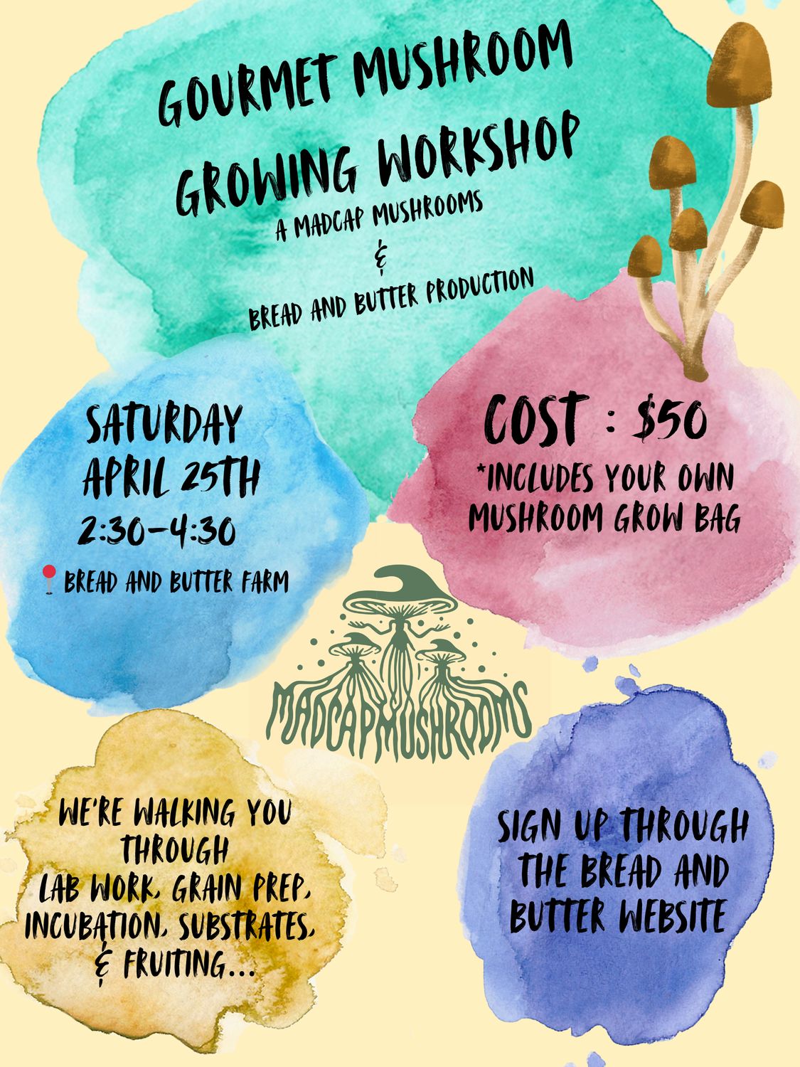 Gourmet Mushroom Growing Workshop - With Madcap Mushrooms