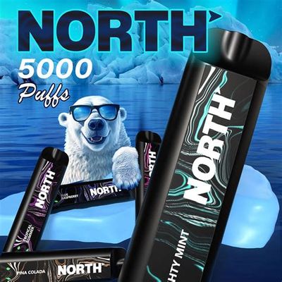 NORTH 5000 PUFF 10ML DISPOSABLE