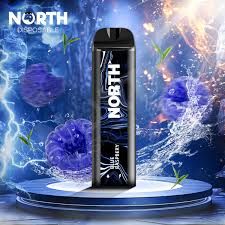 5% NORTH 5K PUFFS BLUE RASPBERRY