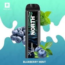 5% NORTH 5K PUFFS BLUEBERRY MINT