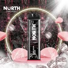 5% NORTH 5K PUFFS BUBBLE GUM FREEZE