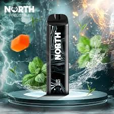 5% NORTH 5K PUFFS GUM MINT