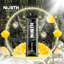 5% NORTH 5K PUFFS MANGO FREEZE