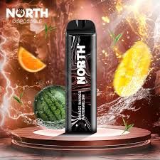 5% NORTH 5K PUFFS ORANGE MANGO WATERMELON