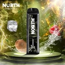 5% NORTH 5K PUFFS KIWI STRAWBERRY ICE