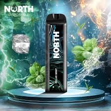 5% NORTH 5K PUFFS POLAR MINT