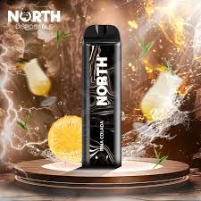 5% NORTH 5K PUFFS PINA COLADA