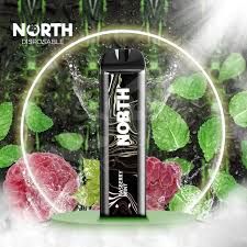 5% NORTH 5K PUFFS RASPBERRY MINT