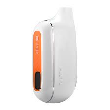 FLONQ MAX SMART 2% 10K PUFF MANGO