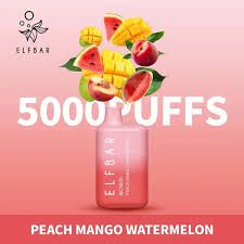BC5000 (ELFBAR) 5K PUFF MANGO PEACH