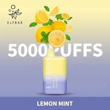 BC5000 (ELFBAR) 5K PUFF LEMON MINT