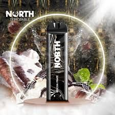 NORTH 5K PUFFS 0% NICOTINE STRAWBERRY KIWI ICE