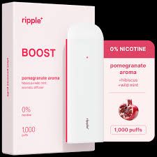 RIPPLE PLUS 0% NICOTINE 1000 PUFFS BOOST