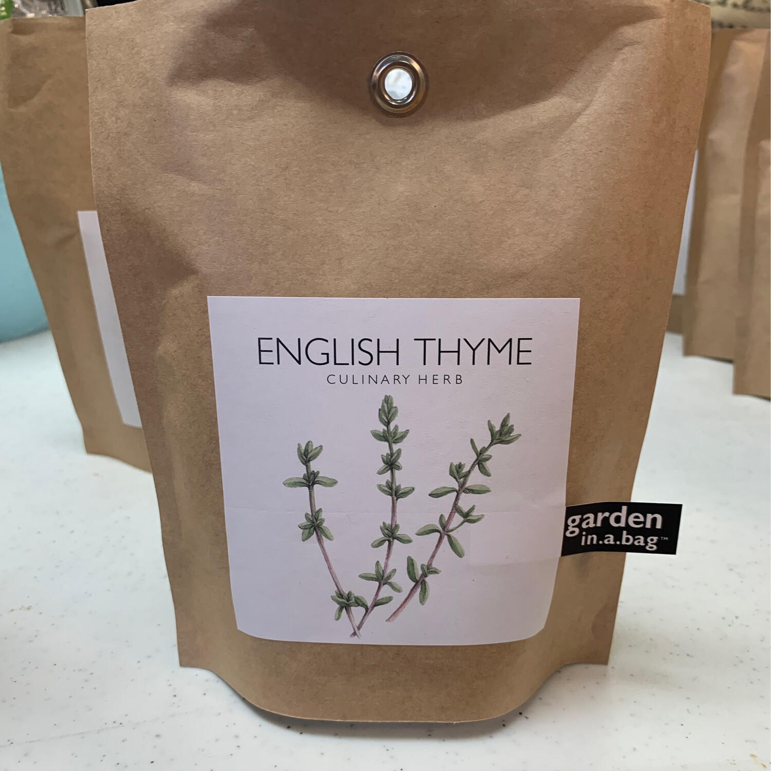 English Thyme in a bag