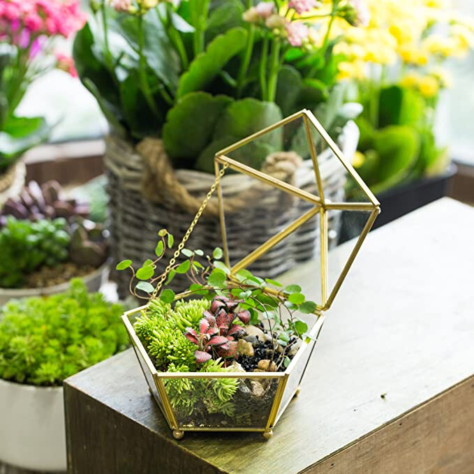 LUMINOUS CRYSTAL TERRARIUMS