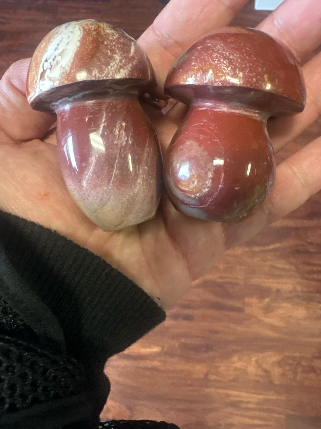 Petrified Wood Mushroom