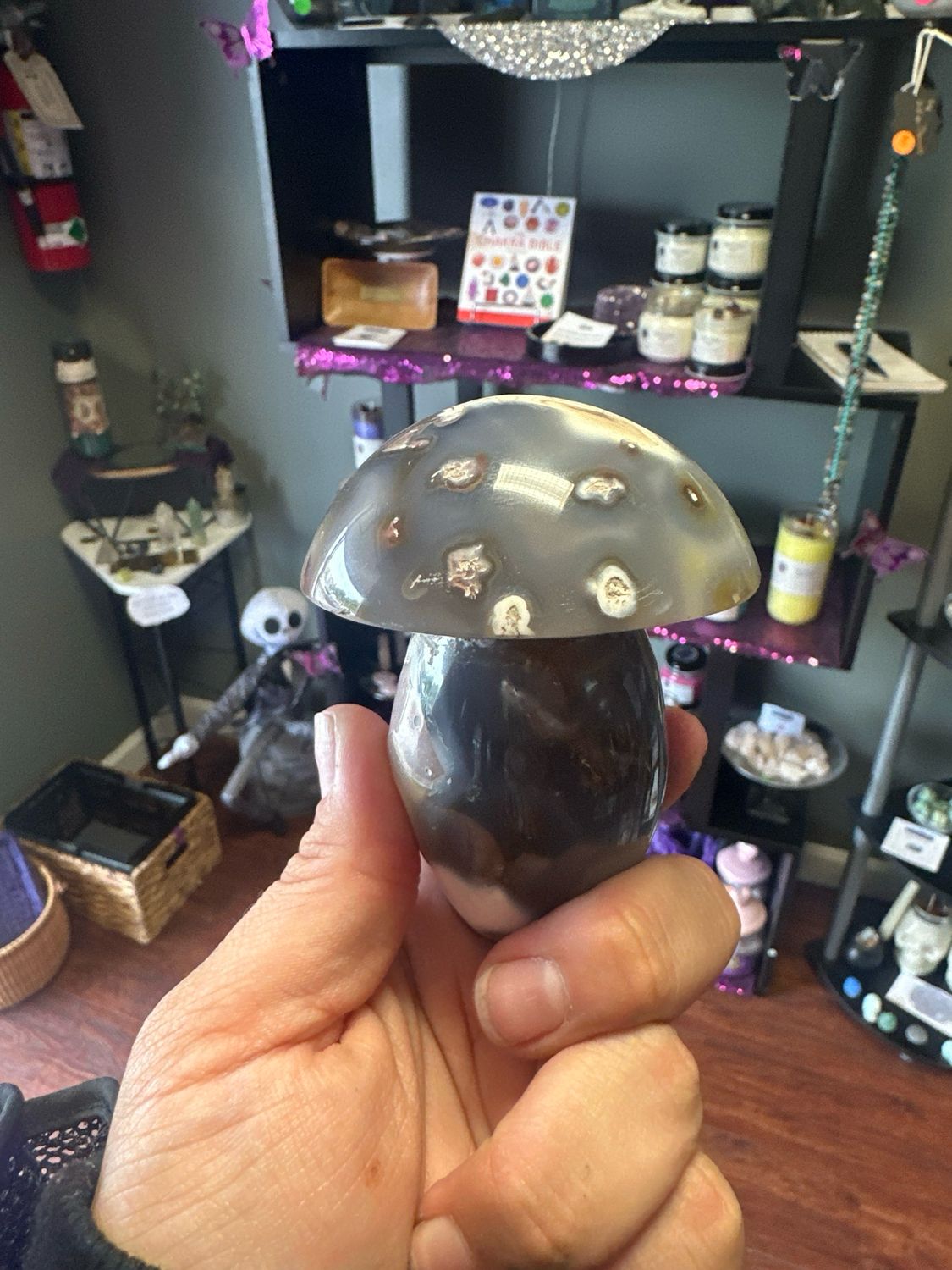 Orca Mushroom
