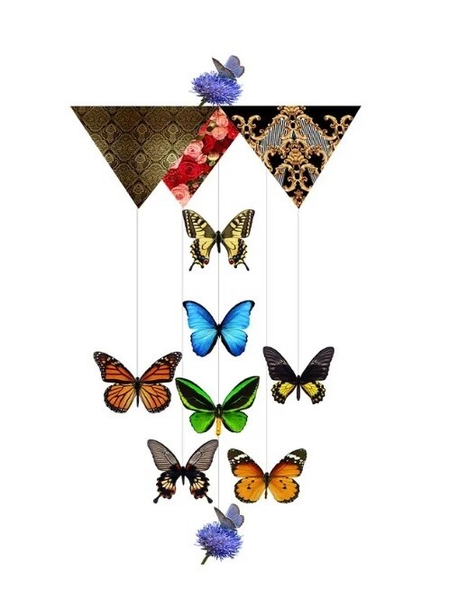 Fritillary Card Fritillary Card