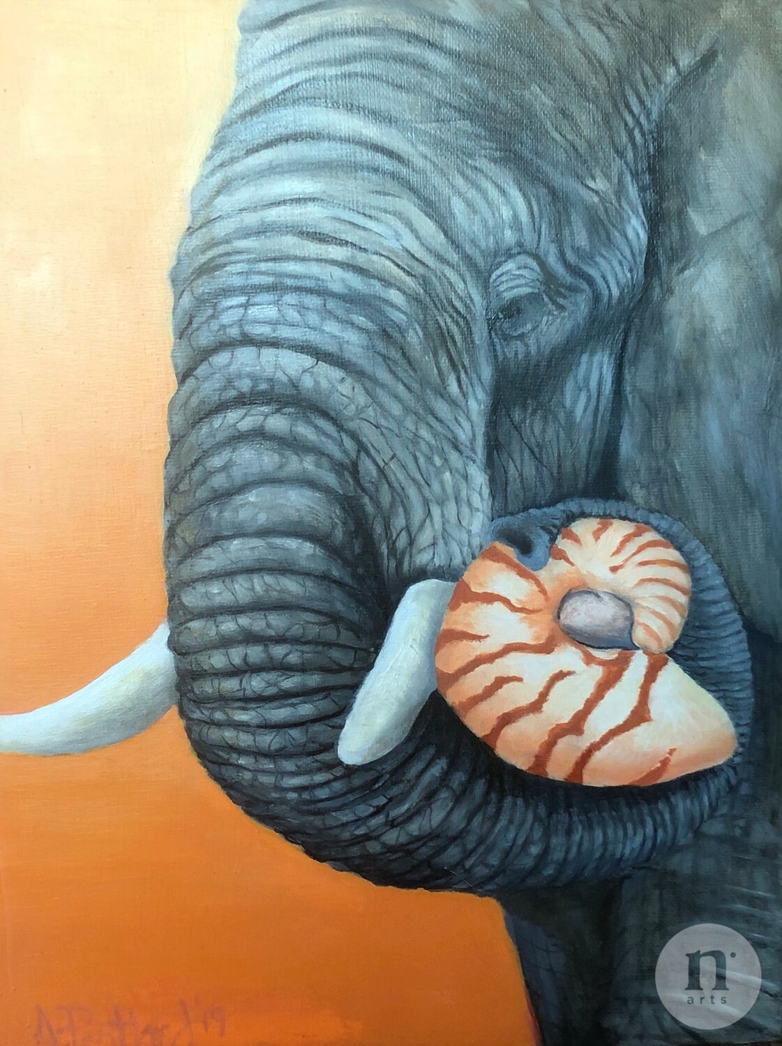 Elephant and Nautilus