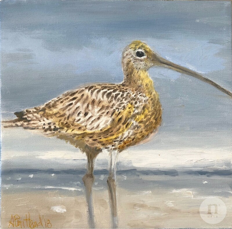 Long Billed Curlew