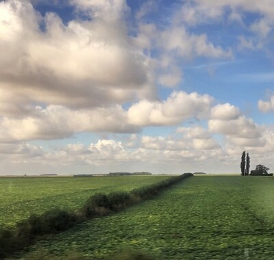 From EuroStar Car 14 (clouds and green), Unframed