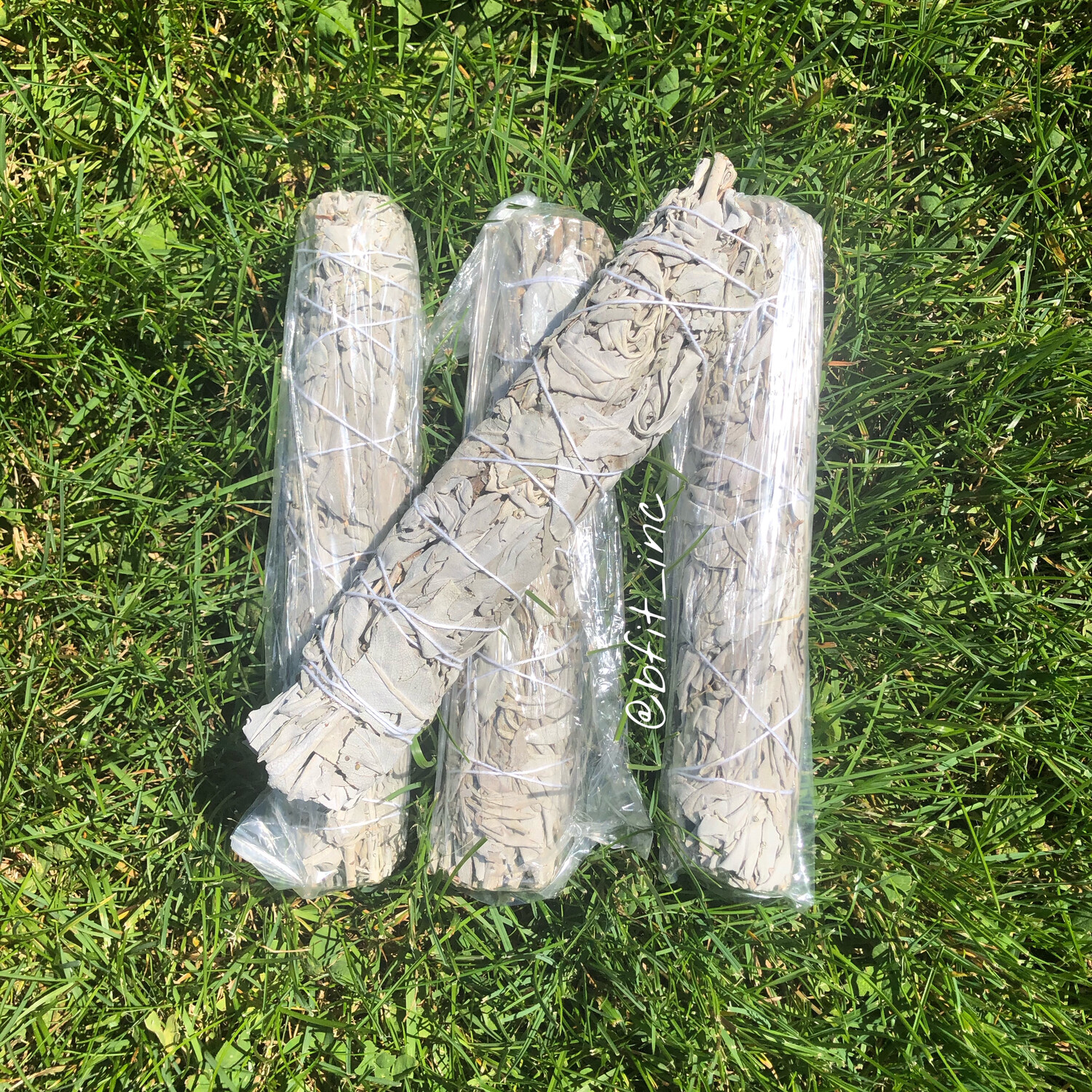 XL White Sage