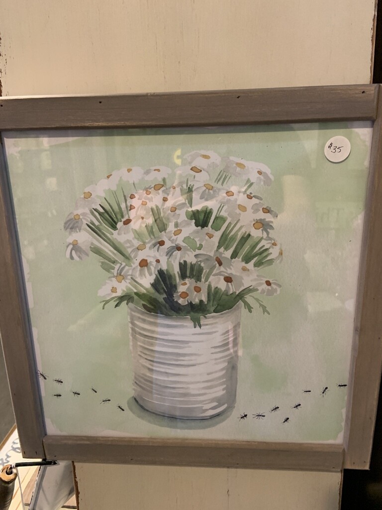 Daisies in bucket framed wall art