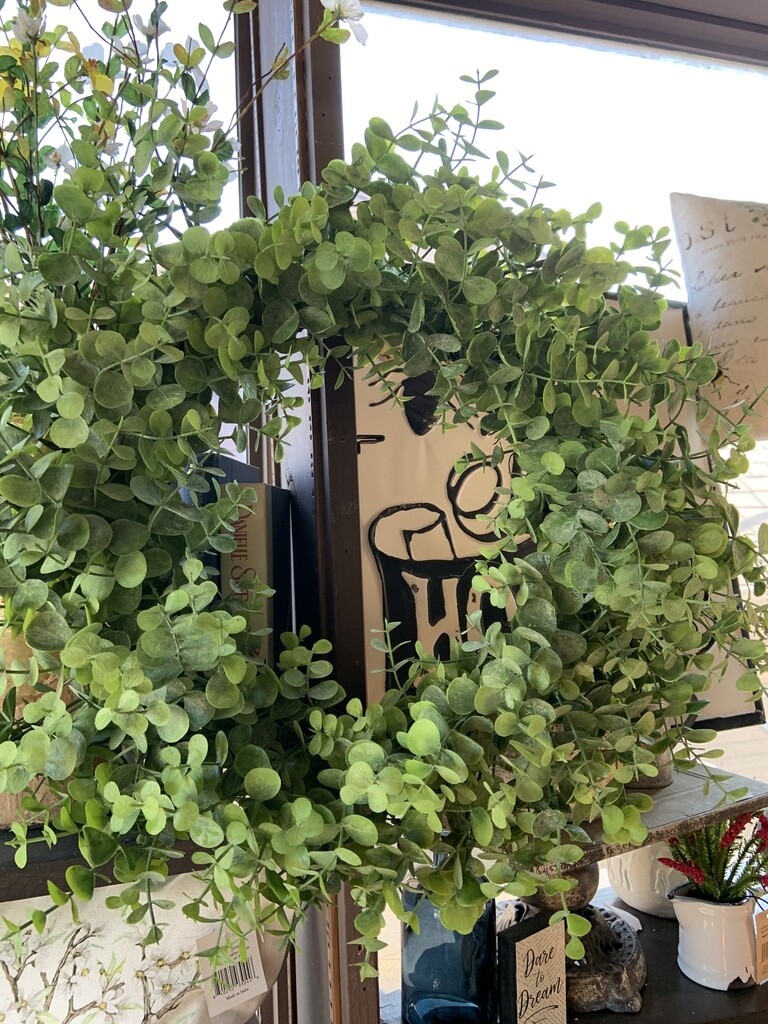 Baby Eucalyptus wreath