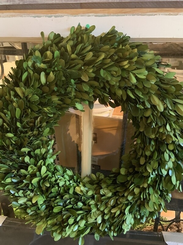 preserved boxwood 16"