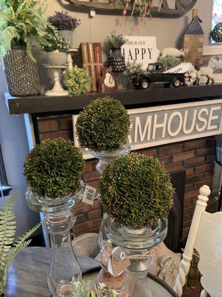 Sedum orbs 4 1/2"