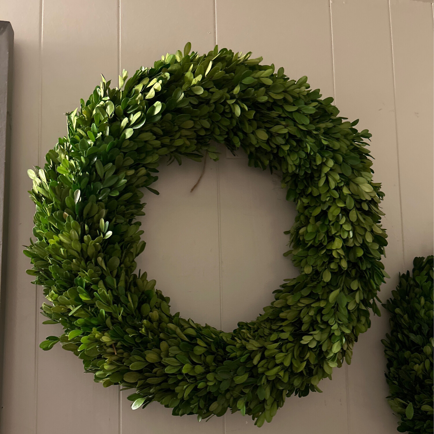 Boxwood Wreath 20”