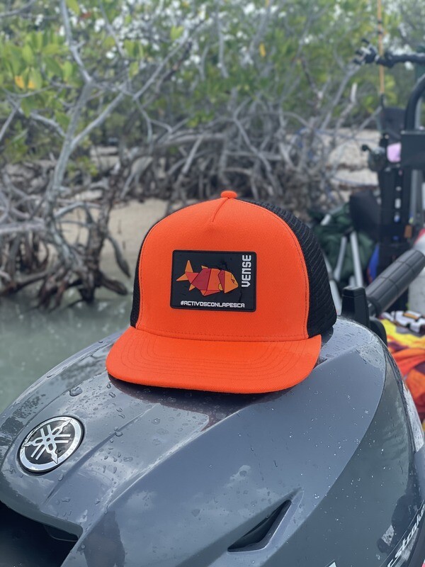 Vense Gear