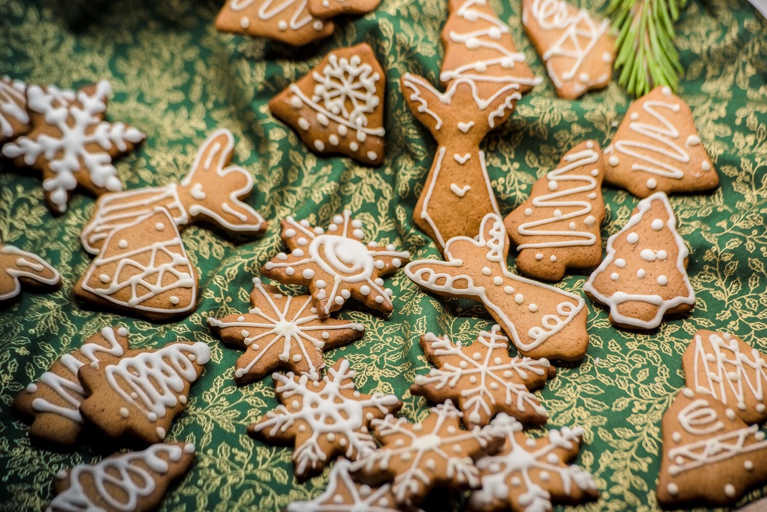 Christmas ginger cookies