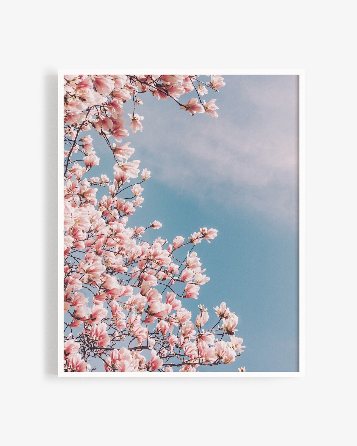 Hello spring