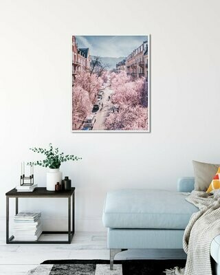 Cherry blossoms season