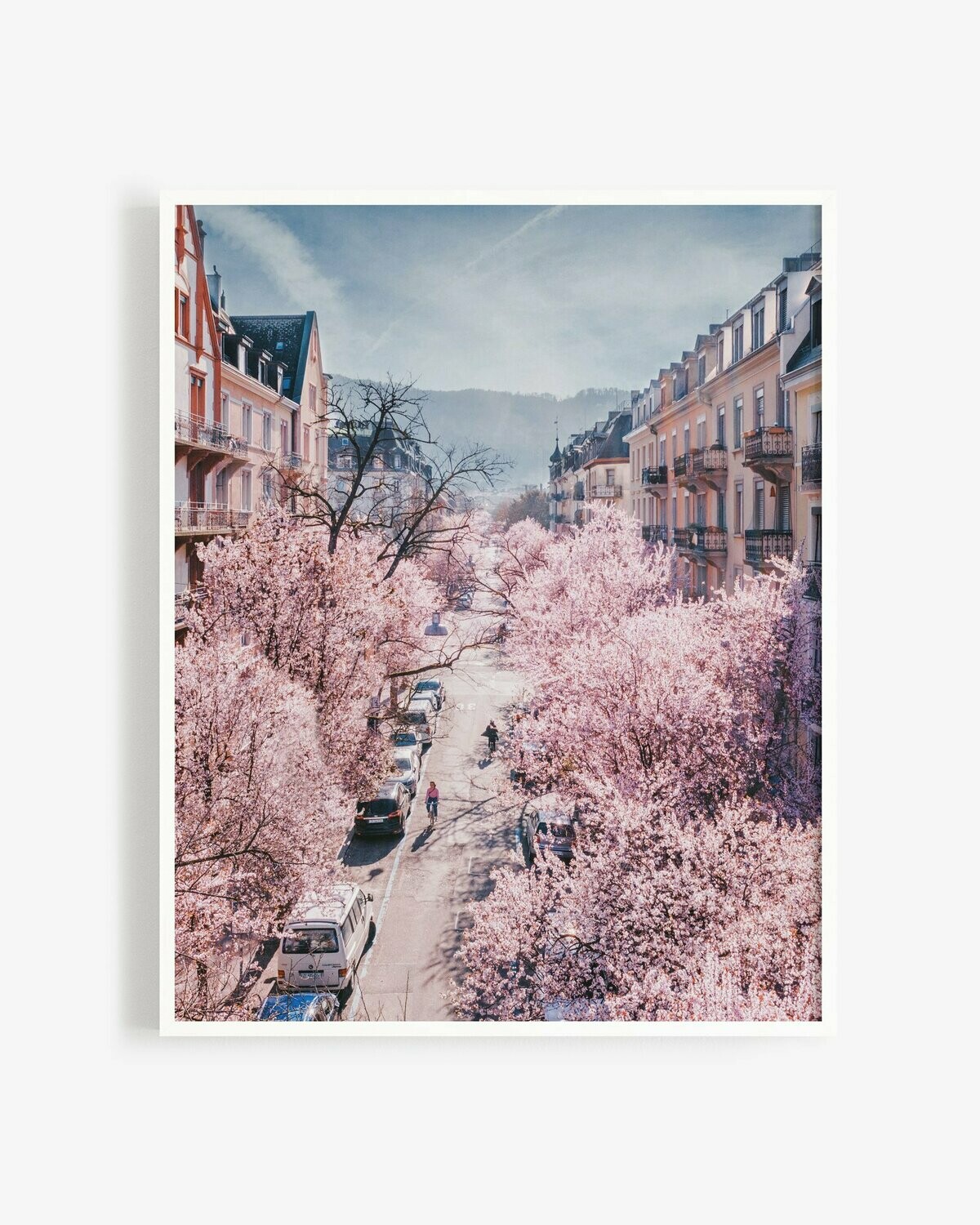 Cherry blossoms season