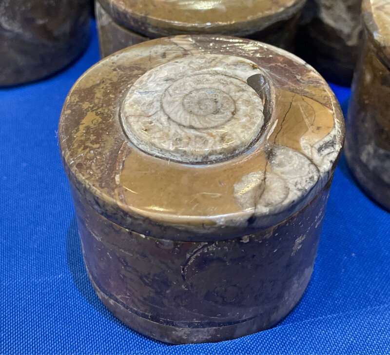 fossil jewelry box Small