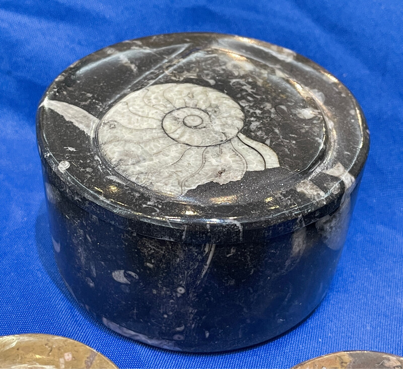 fossil jewelry box Large