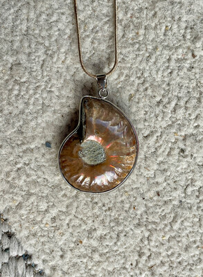 ammonite fossil necklace
