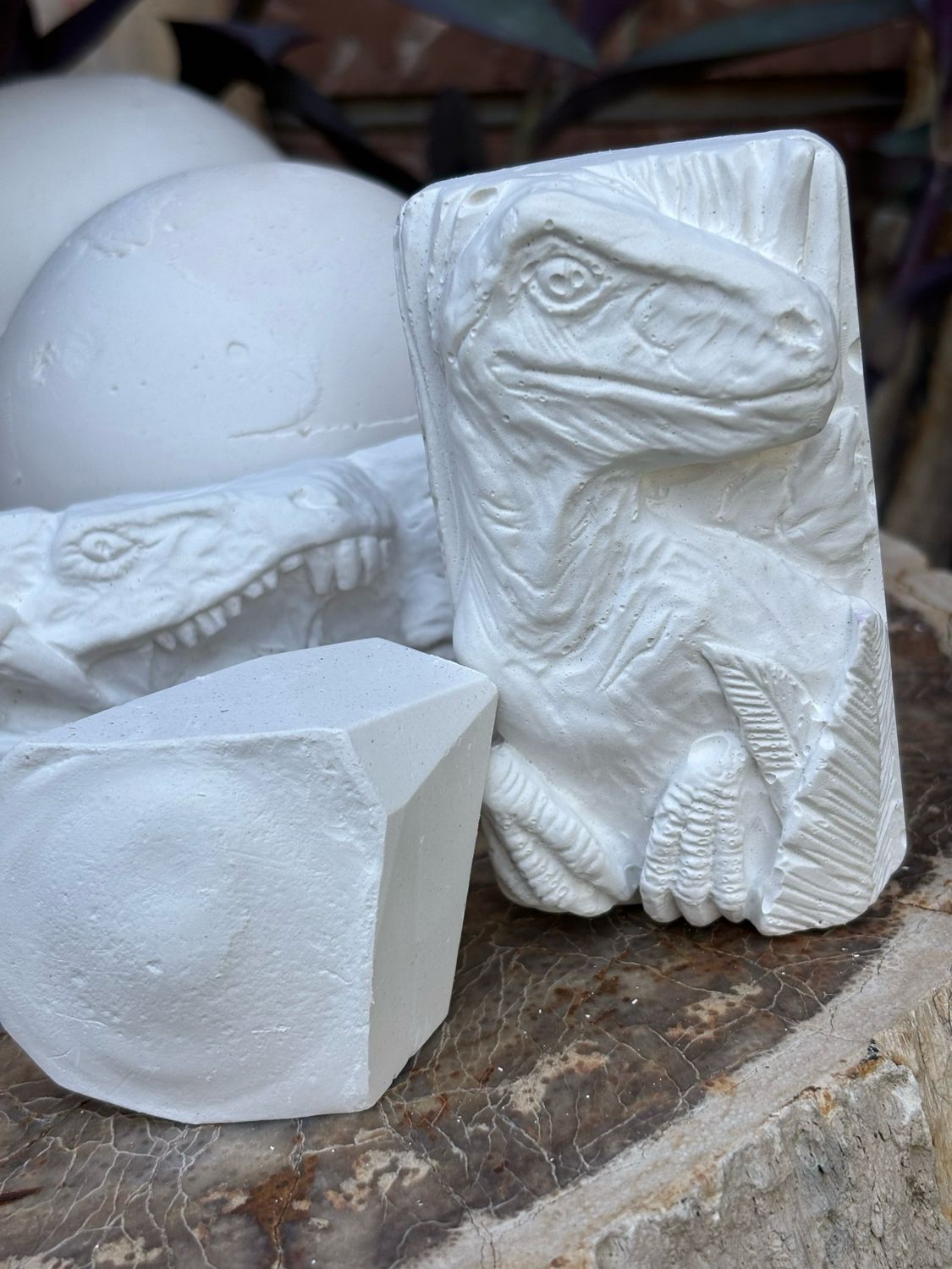 the fossil dig kit -made in store
