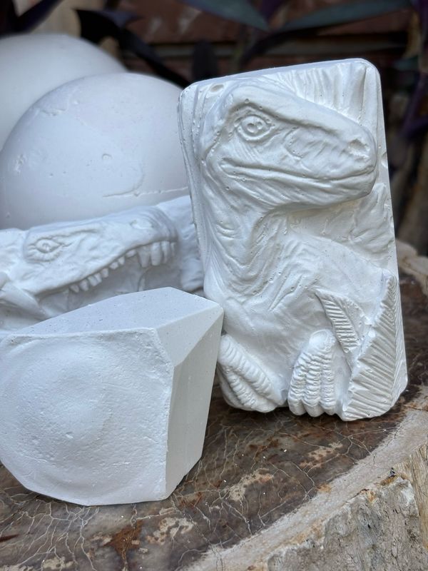 the fossil dig kit -made in store