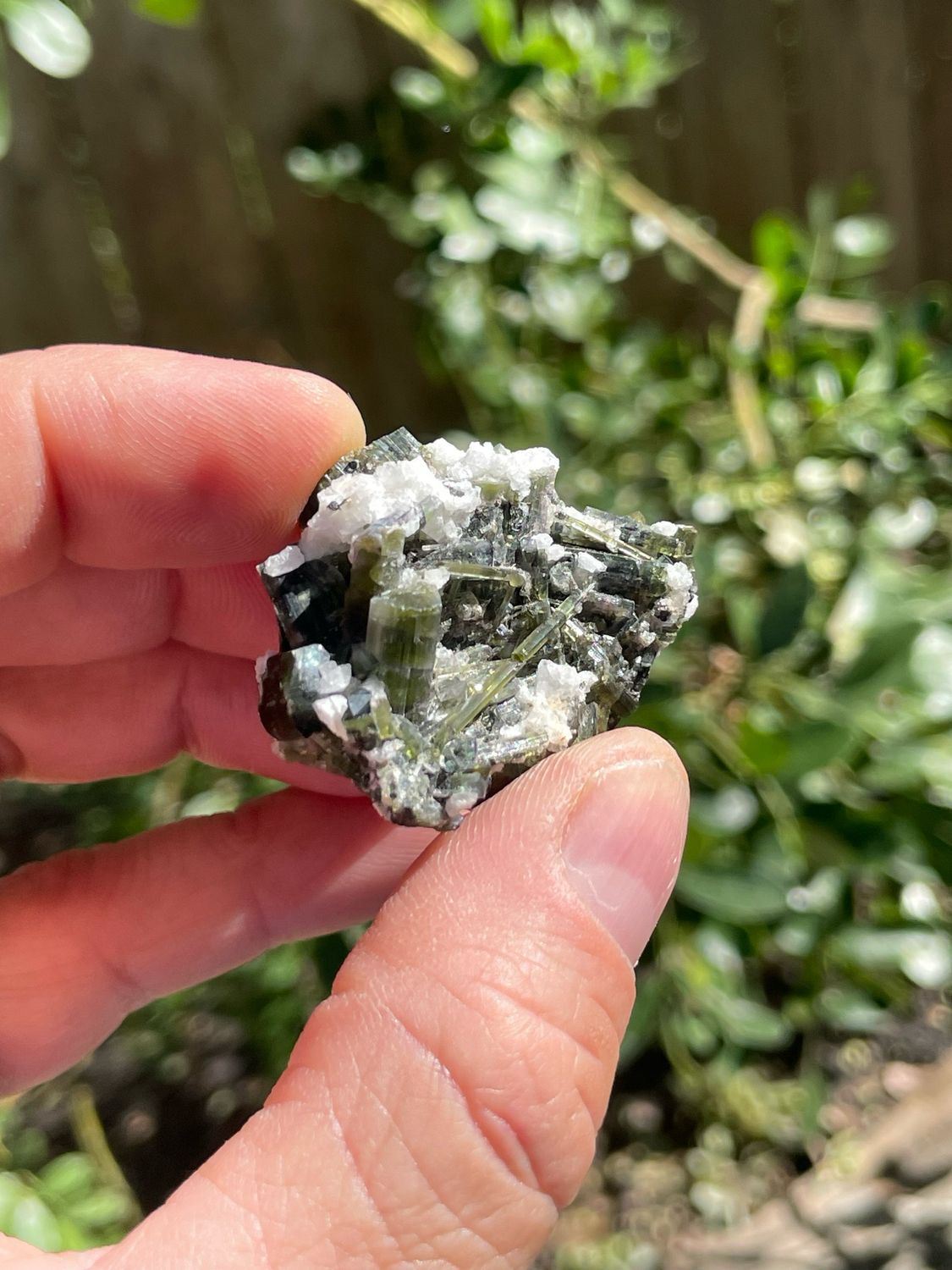 Verdelite, Quartz and Albite 25g