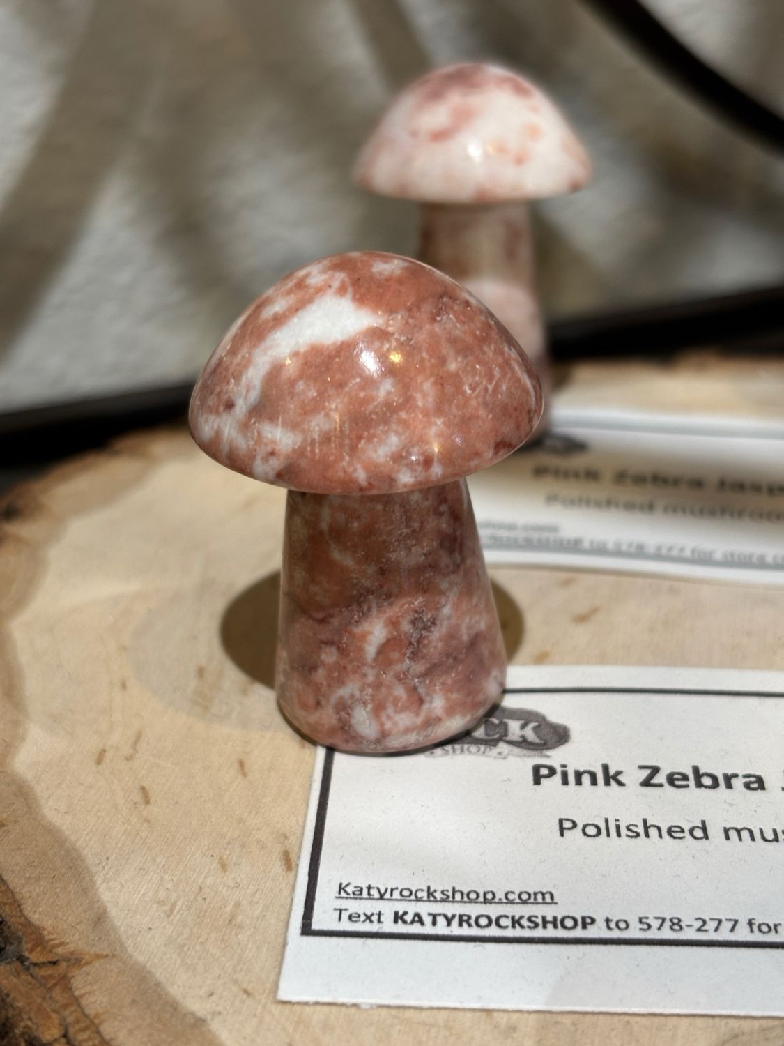Pink Zebra Mushroom 2in