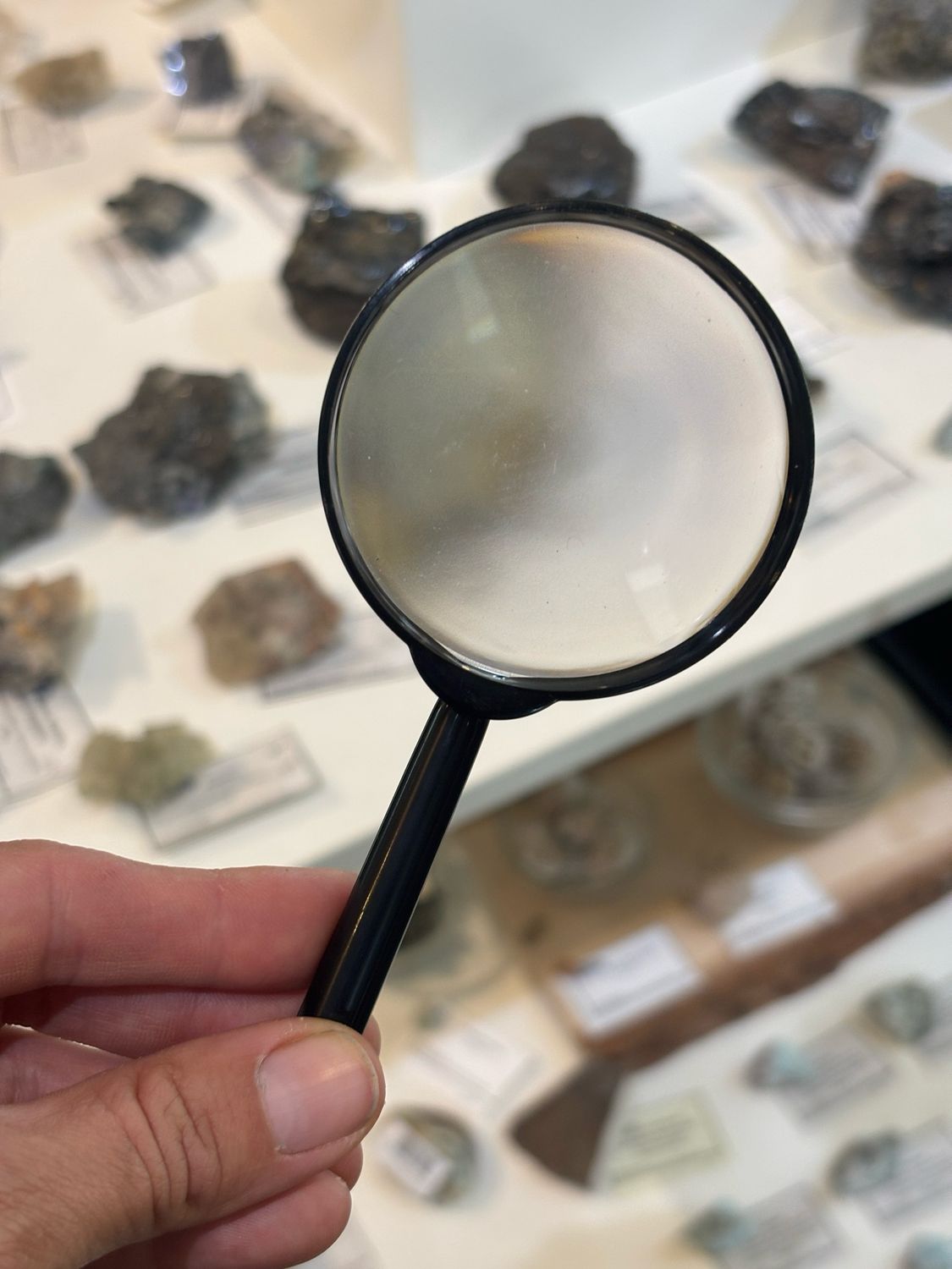 magnifying glass
