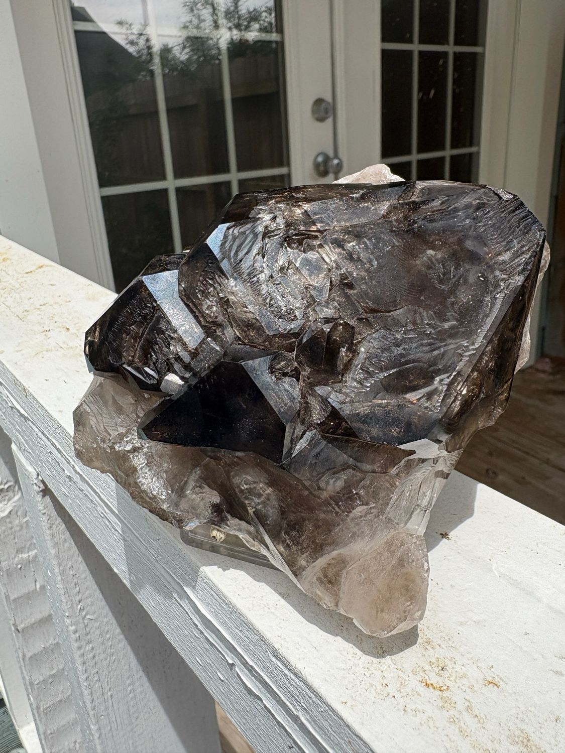 Dark & Light Alligator Quartz Crystal – Rare Collector's Specimen