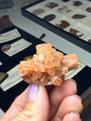 aragonite 31.2g