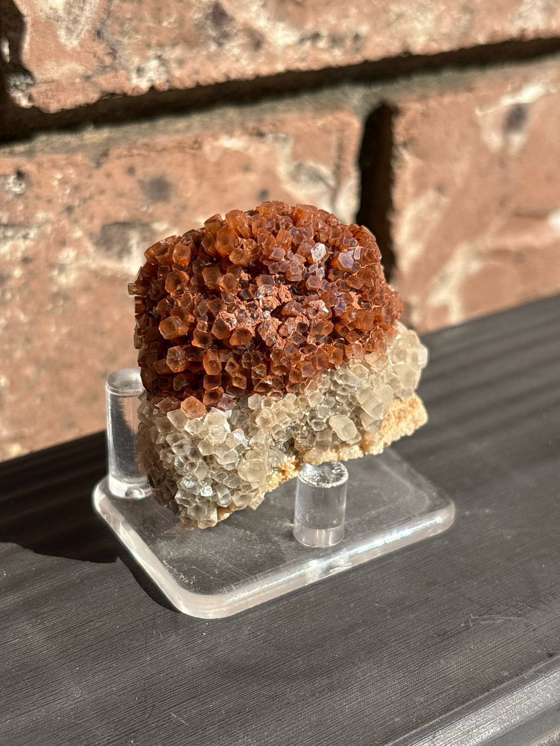 aragonite 76g