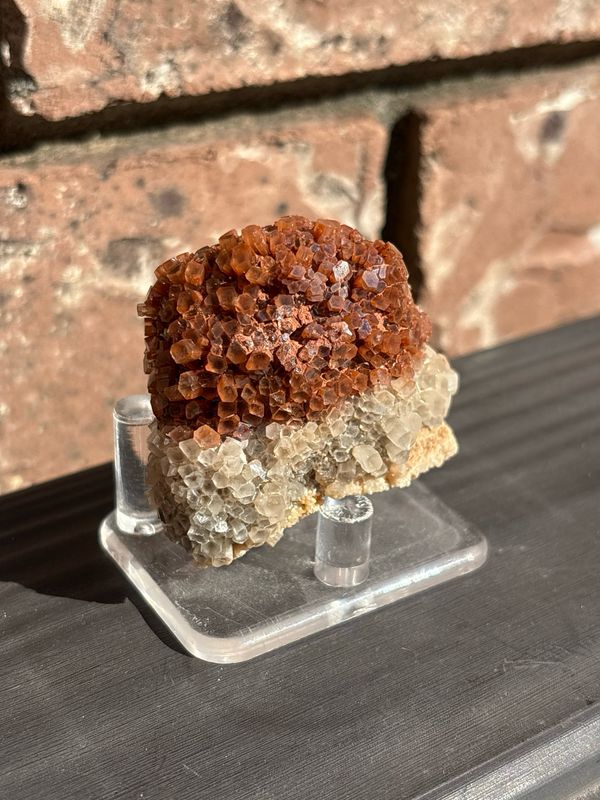 aragonite 76g aragonite 76g