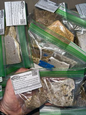 Florissant Fossil Dig Kit